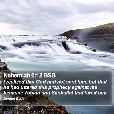 Nehemiah 6:12 BSB Bible Verse Image