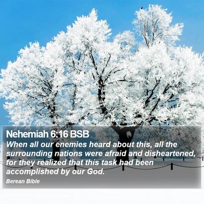 Nehemiah 6:16 BSB Bible Verse Image