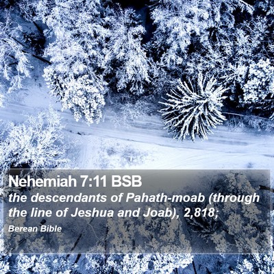 Nehemiah 7:11 BSB Bible Verse Image
