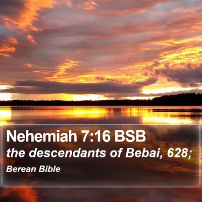 Nehemiah 7:16 BSB Bible Verse Image