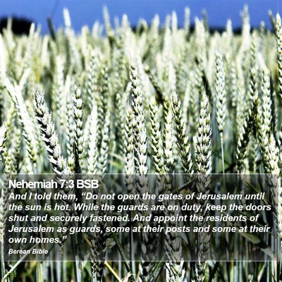 Nehemiah 7:3 BSB Bible Verse Image