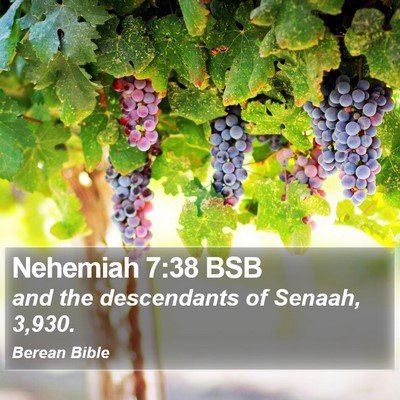 Nehemiah 7:38 BSB Bible Verse Image