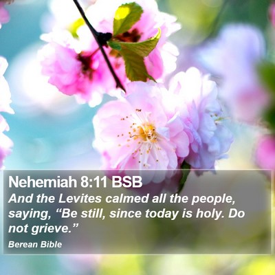 Nehemiah 8:11 BSB Bible Verse Image