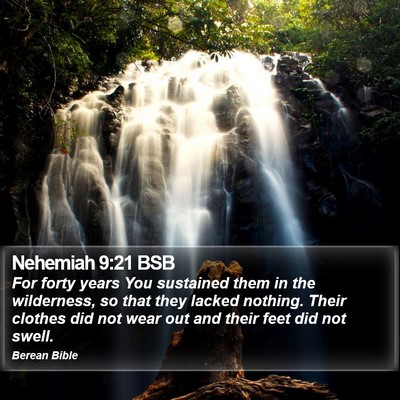 Nehemiah 9:21 BSB Bible Verse Image