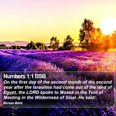 Numbers 1:1 BSB Bible Verse Image