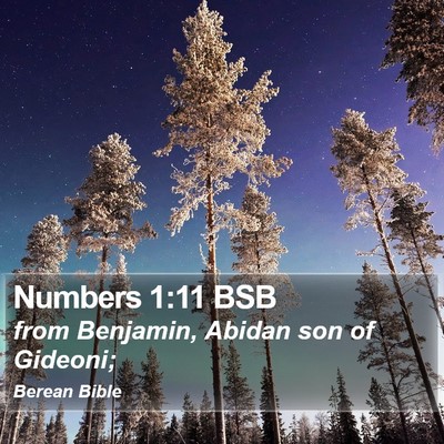 Numbers 1:11 BSB Bible Verse Image