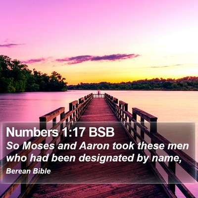 Numbers 1:17 BSB Bible Verse Image