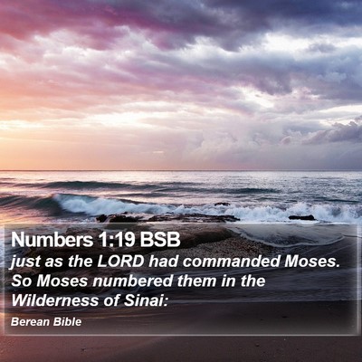 Numbers 1:19 BSB Bible Verse Image