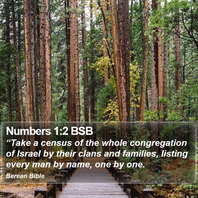Numbers 1:2 BSB Bible Verse Image