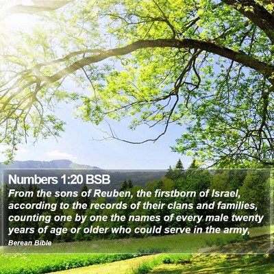 Numbers 1:20 BSB Bible Verse Image