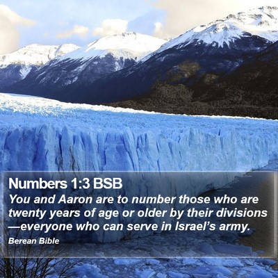 Numbers 1:3 BSB Bible Verse Image
