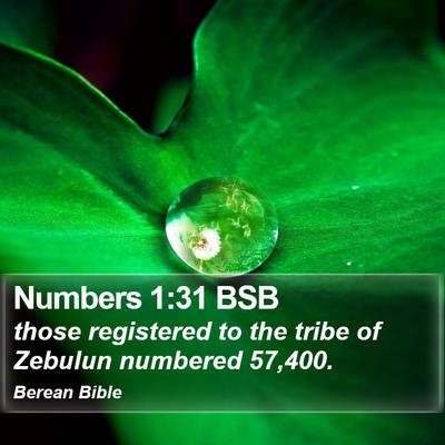 Numbers 1:31 BSB Bible Verse Image