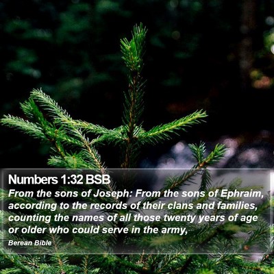 Numbers 1:32 BSB Bible Verse Image