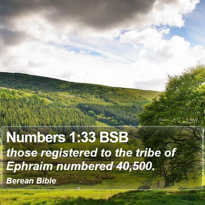 Numbers 1:33 BSB Bible Verse Image