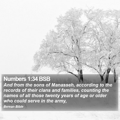 Numbers 1:34 BSB Bible Verse Image