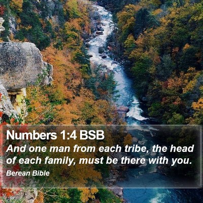 Numbers 1:4 BSB Bible Verse Image