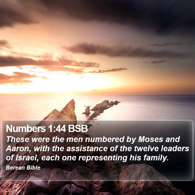 Numbers 1:44 BSB Bible Verse Image