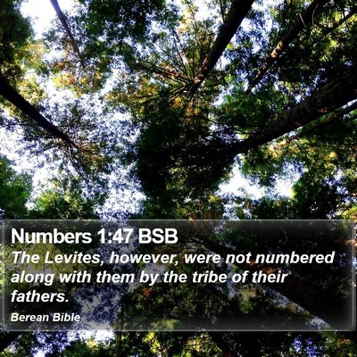 Numbers 1:47 BSB Bible Verse Image