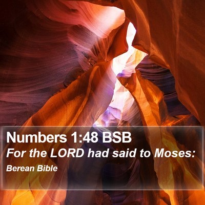 Numbers 1:48 BSB Bible Verse Image