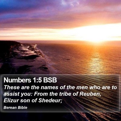 Numbers 1:5 BSB Bible Verse Image