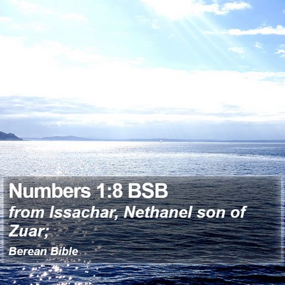 Numbers 1:8 BSB Bible Verse Image