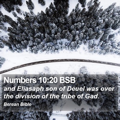 Numbers 10:20 BSB Bible Verse Image