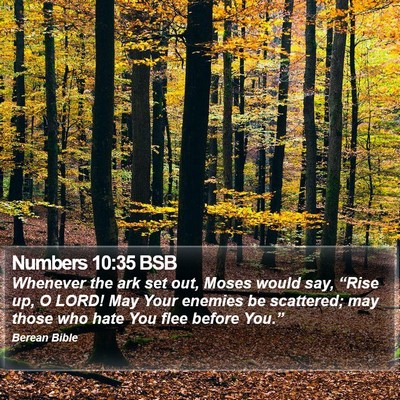 Numbers 10:35 BSB Bible Verse Image