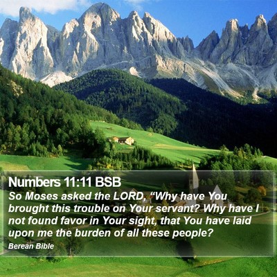 Numbers 11:11 BSB Bible Verse Image