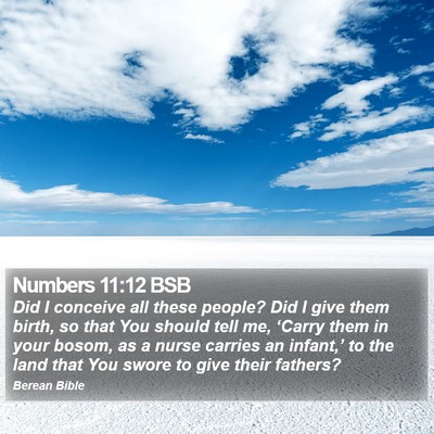Numbers 11:12 BSB Bible Verse Image