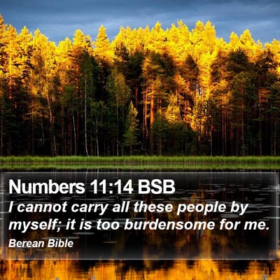 Numbers 11:14 BSB Bible Verse Image