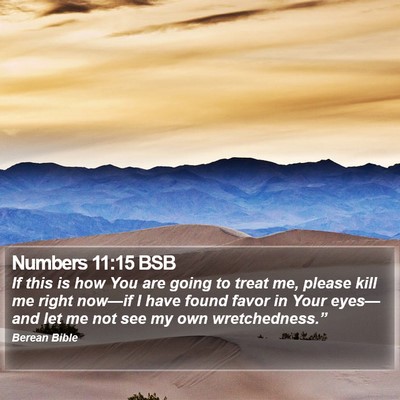 Numbers 11:15 BSB Bible Verse Image