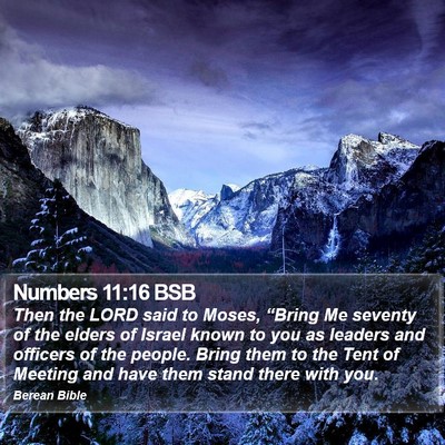 Numbers 11:16 BSB Bible Verse Image