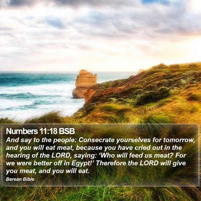 Numbers 11:18 BSB Bible Verse Image