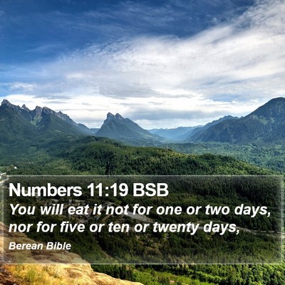 Numbers 11:19 BSB Bible Verse Image