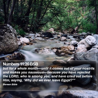 Numbers 11:20 BSB Bible Verse Image