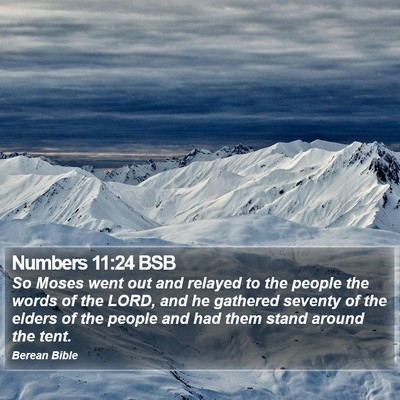 Numbers 11:24 BSB Bible Verse Image