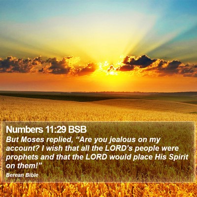 Numbers 11:29 BSB Bible Verse Image