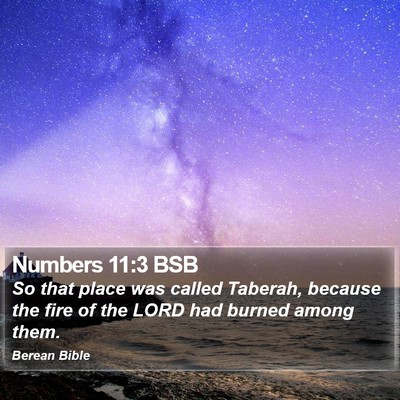 Numbers 11:3 BSB Bible Verse Image