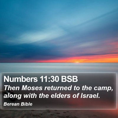 Numbers 11:30 BSB Bible Verse Image