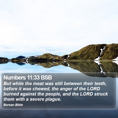 Numbers 11:33 BSB Bible Verse Image
