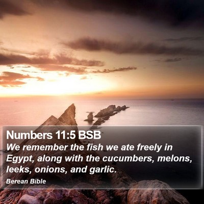 Numbers 11:5 BSB Bible Verse Image