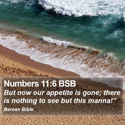 Numbers 11:6 BSB Bible Verse Image