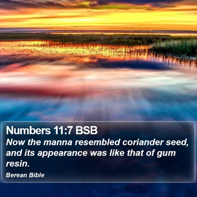 Numbers 11:7 BSB Bible Verse Image