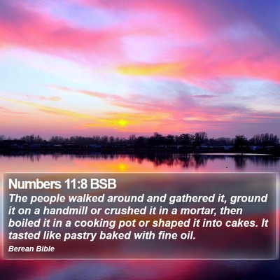 Numbers 11:8 BSB Bible Verse Image
