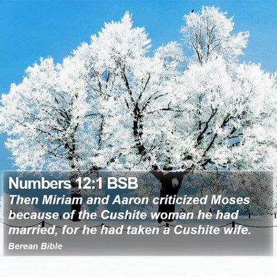 Numbers 12:1 BSB Bible Verse Image