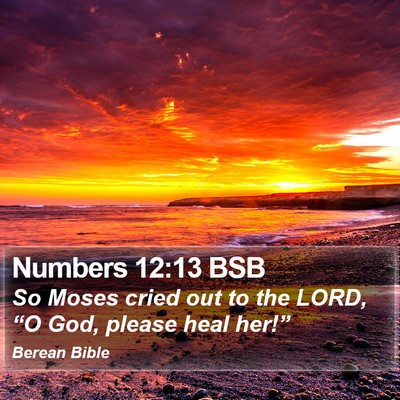 Numbers 12:13 BSB Bible Verse Image