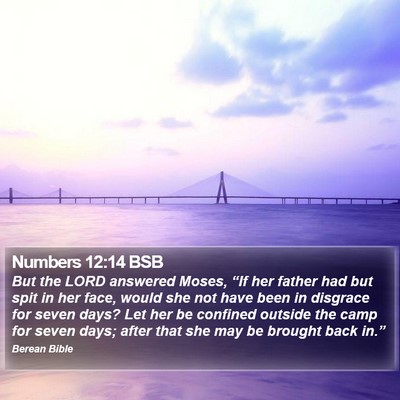 Numbers 12:14 BSB Bible Verse Image