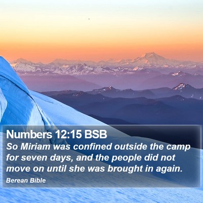 Numbers 12:15 BSB Bible Verse Image