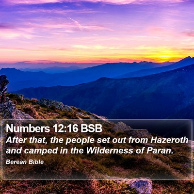 Numbers 12:16 BSB Bible Verse Image