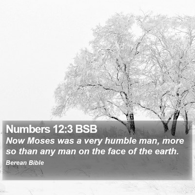 Numbers 12:3 BSB Bible Verse Image